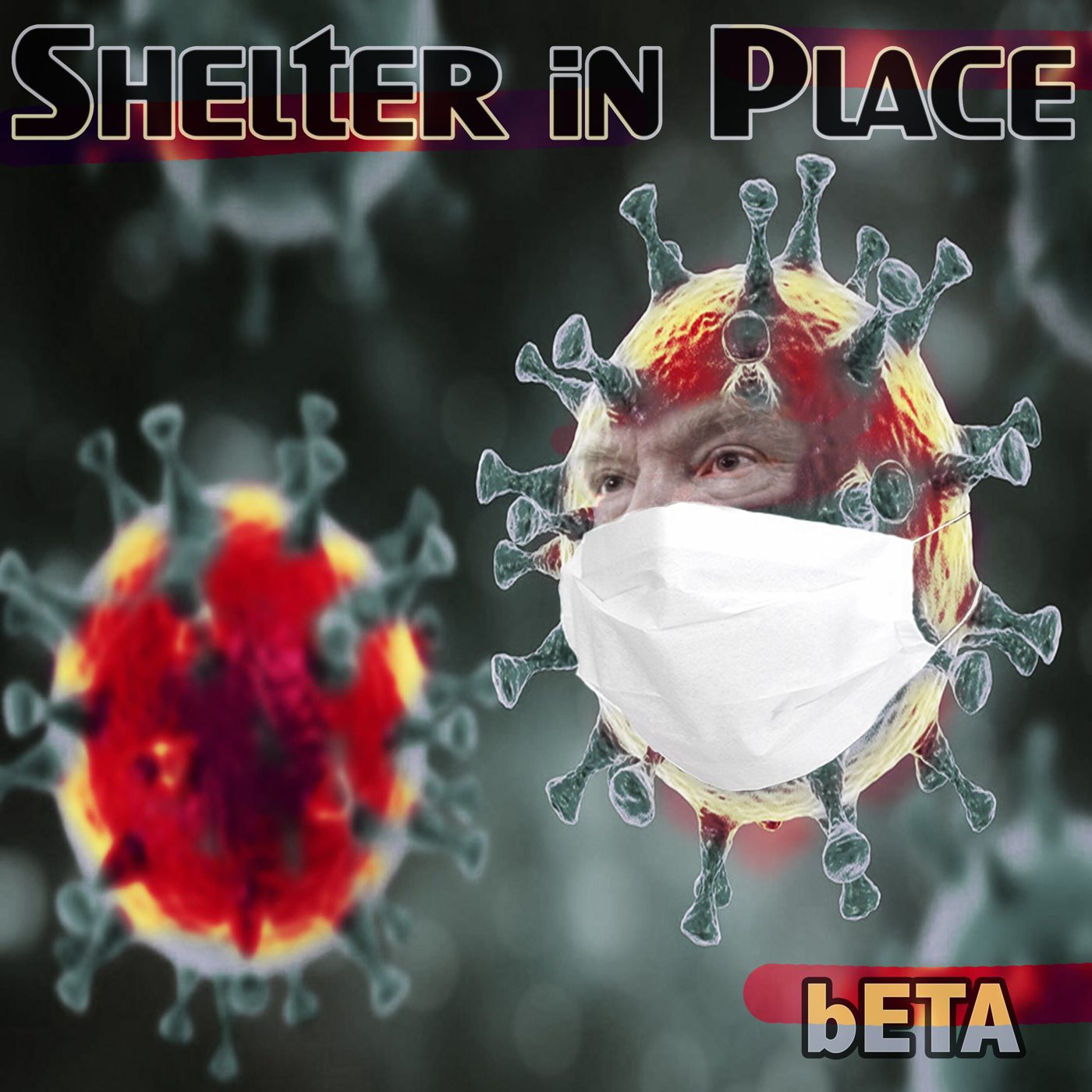 Shelter In Place cover