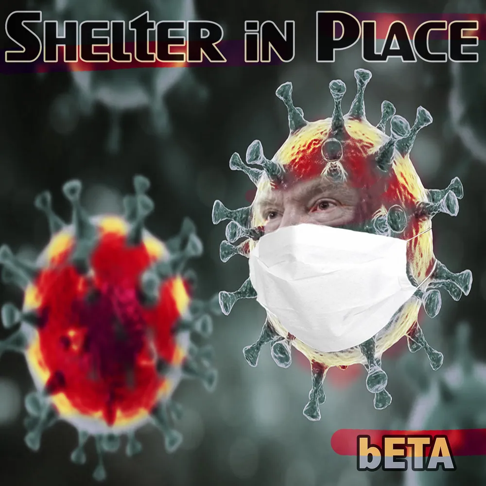 Shelter In Place cover